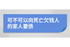 三沙为什么选择专业追讨公司来处理您的债务纠纷？